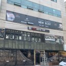 뉴바디 이미지
