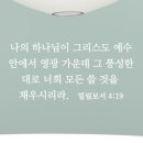 디자인 단비