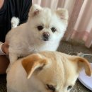 쌍용민박 이미지