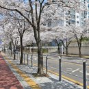 남부순환로(동측) 이미지