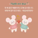 태성세무회계 이미지