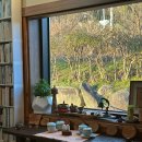 카페유나 이미지