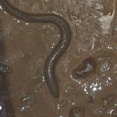 신기한공인중개사사무소 이미지