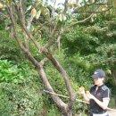 지하철역사(구암역) 이미지