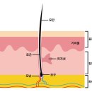 헤어아뜰리에 이미지