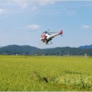 강원사료 이미지