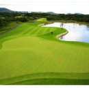 그린필드골프연습장 이미지