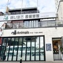 애니멀즈동물병원 이미지