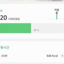 로즈마리 149 이미지