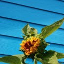 역귀농장 이미지