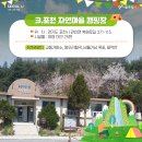 교동탁구교실