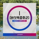 쌍문마디튼튼의원 네이버블로그