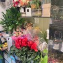 당산화원 이미지