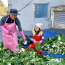 효성의집 이미지