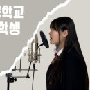 필라이브 이미지