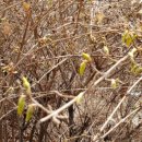 문학산에서 놀다 이미지