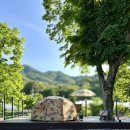 무릉도원면-22 이미지