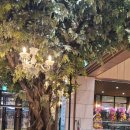 연은 결혼정보 이미지