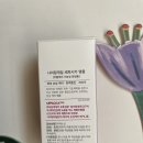 카세파 이미지