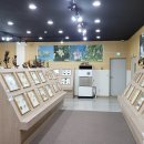 국립회문산자연휴양림 이미지