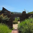 에덴의 정원 이미지