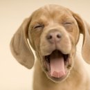 나래동물약국 이미지