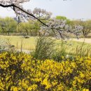 사평대로55길 114 | page41