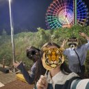 충남 당진 근교 데이트 코스로 좋은 삽교호 놀이동산 가격 및 후기