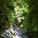 참농농장 이미지