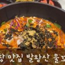 발왕산 물꼬기