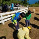 무한도전 태권도 이미지