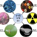 바로농산물 이미지