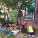 해맑은아파트 이미지