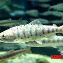 암반수낚시터 이미지