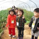 예본어린이집 이미지