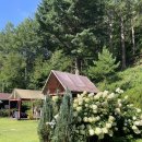 스탈릿캠핑펜션 이미지