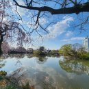 영산 연지못 이미지