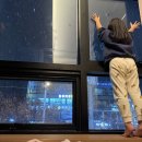 365평화한의원 | 어이 없는 교통사고 후기 일상 쉬지않는 365평화한의원 입원 후기