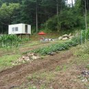 지은 농장 이미지