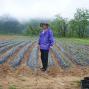 흑송농장 이미지