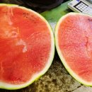 와싸다장터 이미지