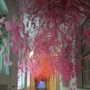 아미미술관 이미지