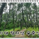 이기대큰고개약수터 이미지