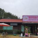 발라당눕스 이미지