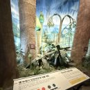 보령석탄박물관 이미지