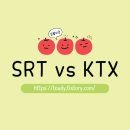 주식회사경기고속 | SRT와 KTX 차이 완벽 정리: 어떤 걸 타야 할까?