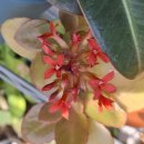 남인천공인중개사사무소 이미지