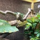 우리들의원.한의원 이미지