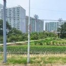 현북면사무소 이미지