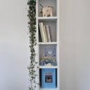 아뜰리에 보네 atelier bo, ne 이미지